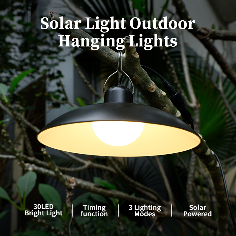 Outdoor Lighting Chandelier - Single/Double Head Solar Pendant Light Led