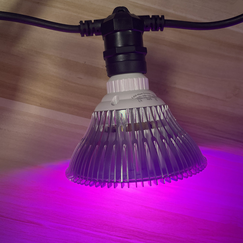 10M Cable LED String Commercia - Outdoor Lighting Cable review and price
